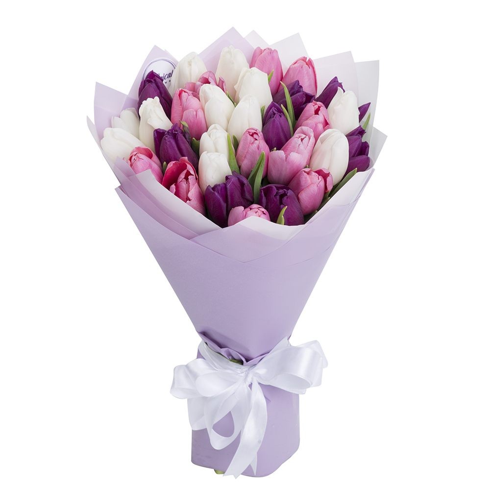 25 Lalele (Bună Dimineața)