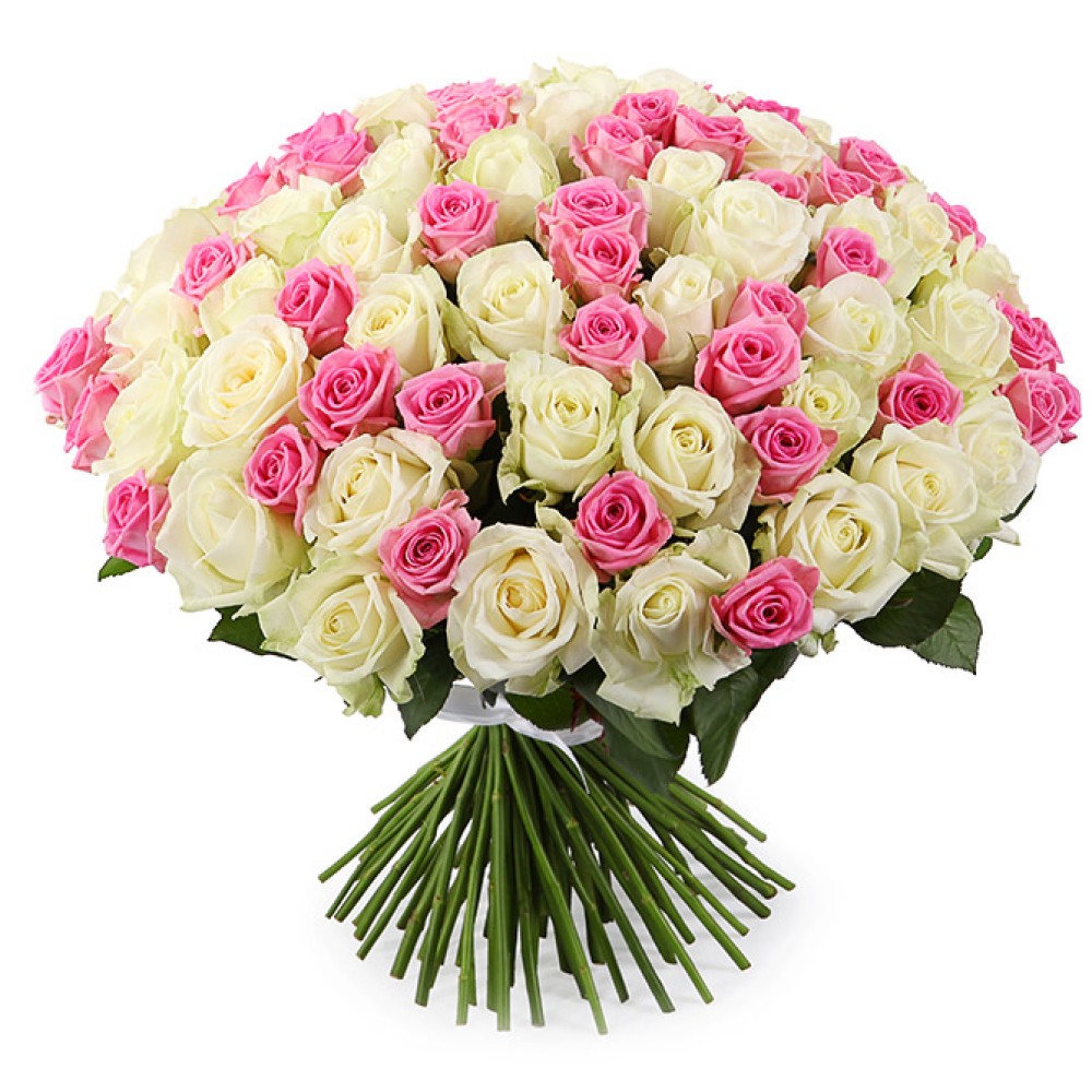 101 Trandafiri alb-roz