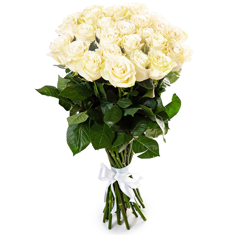 25 white roses
