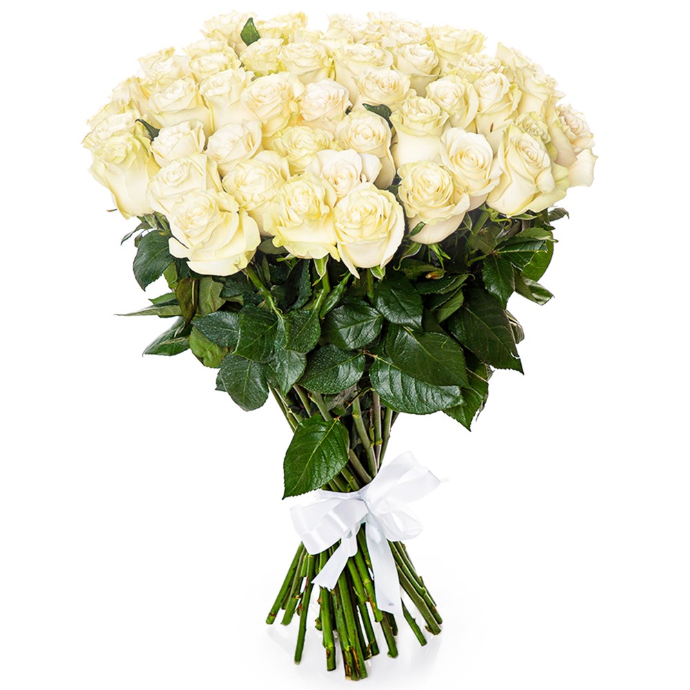 25 white roses